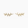 Earrings Wellington gold